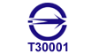 T30001