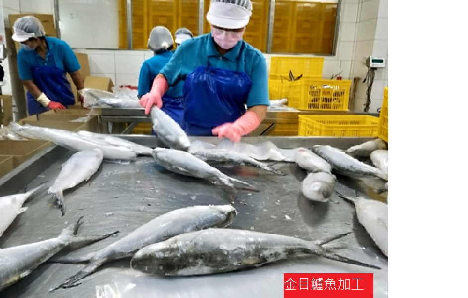 水產品類.png 水產品類.png