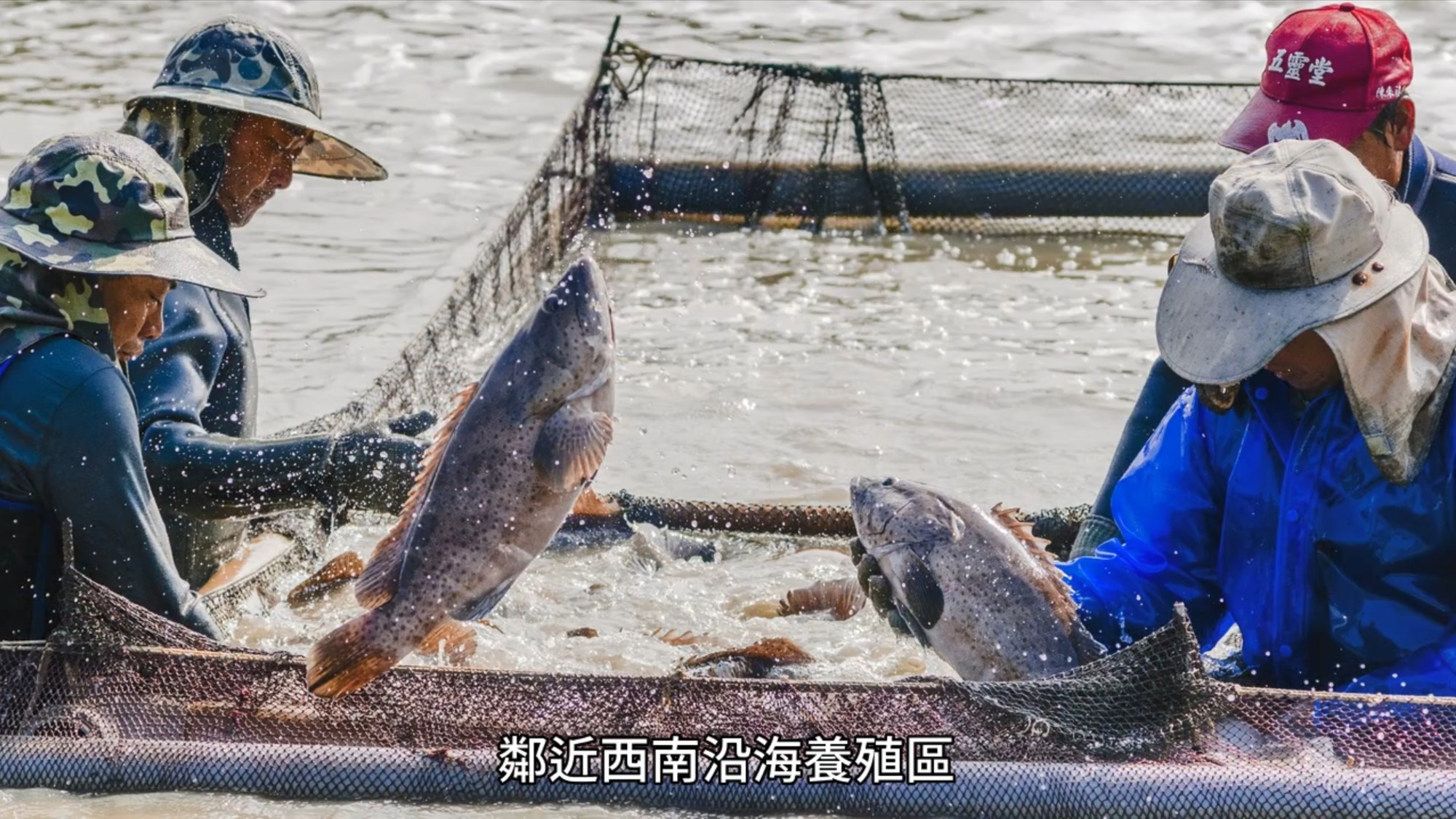 台灣水產品行銷全世界